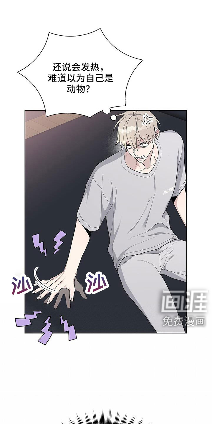 危险爆发第37话图