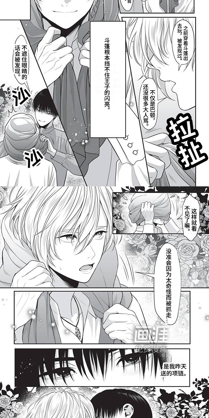 王子娇妻 第20话 第1页