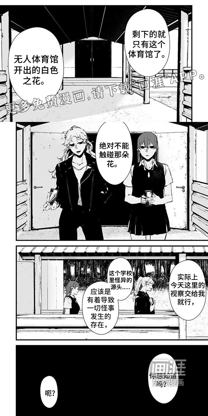 未知性别第33话图