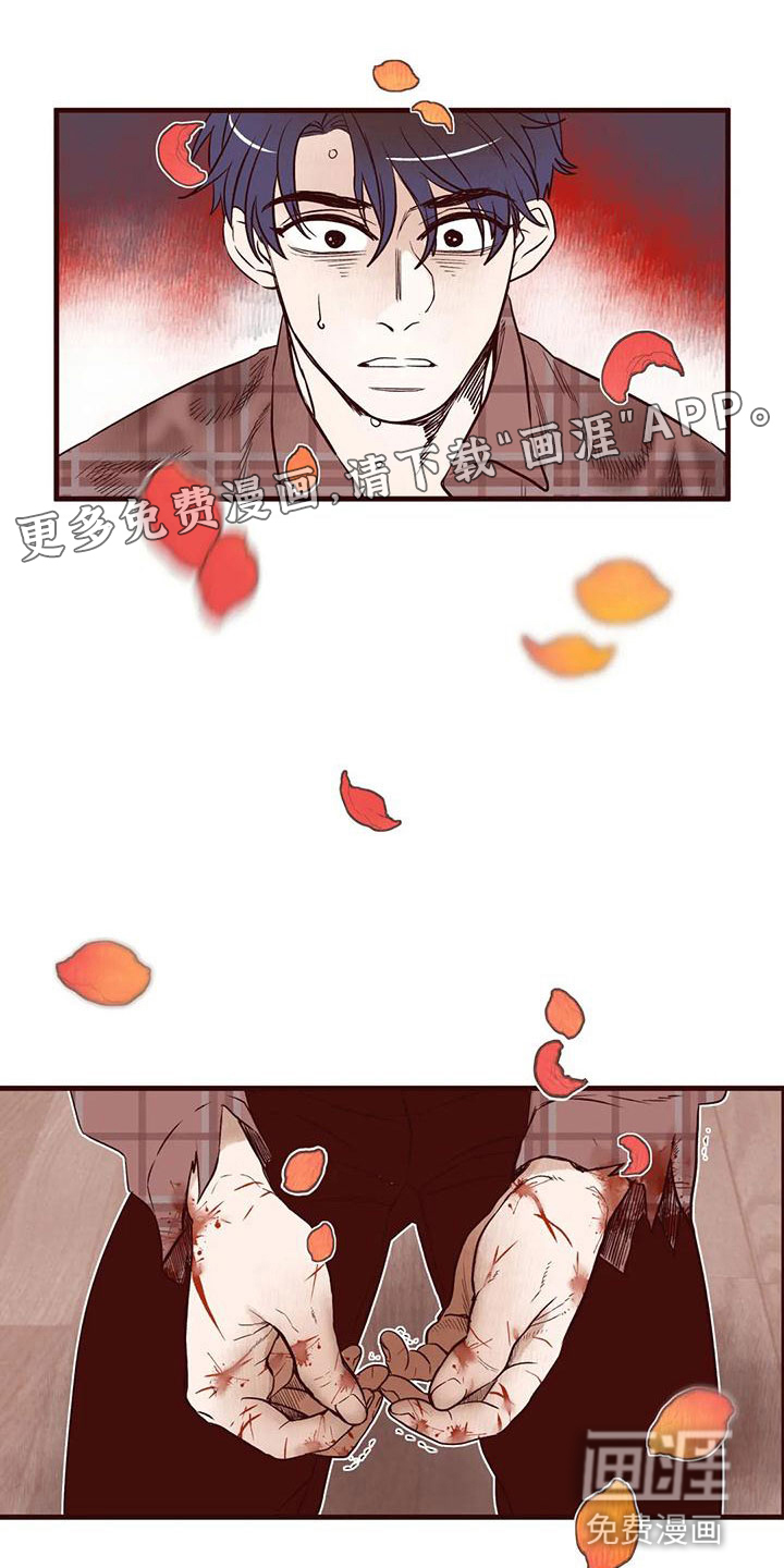 我的十二位哥哥第17话图