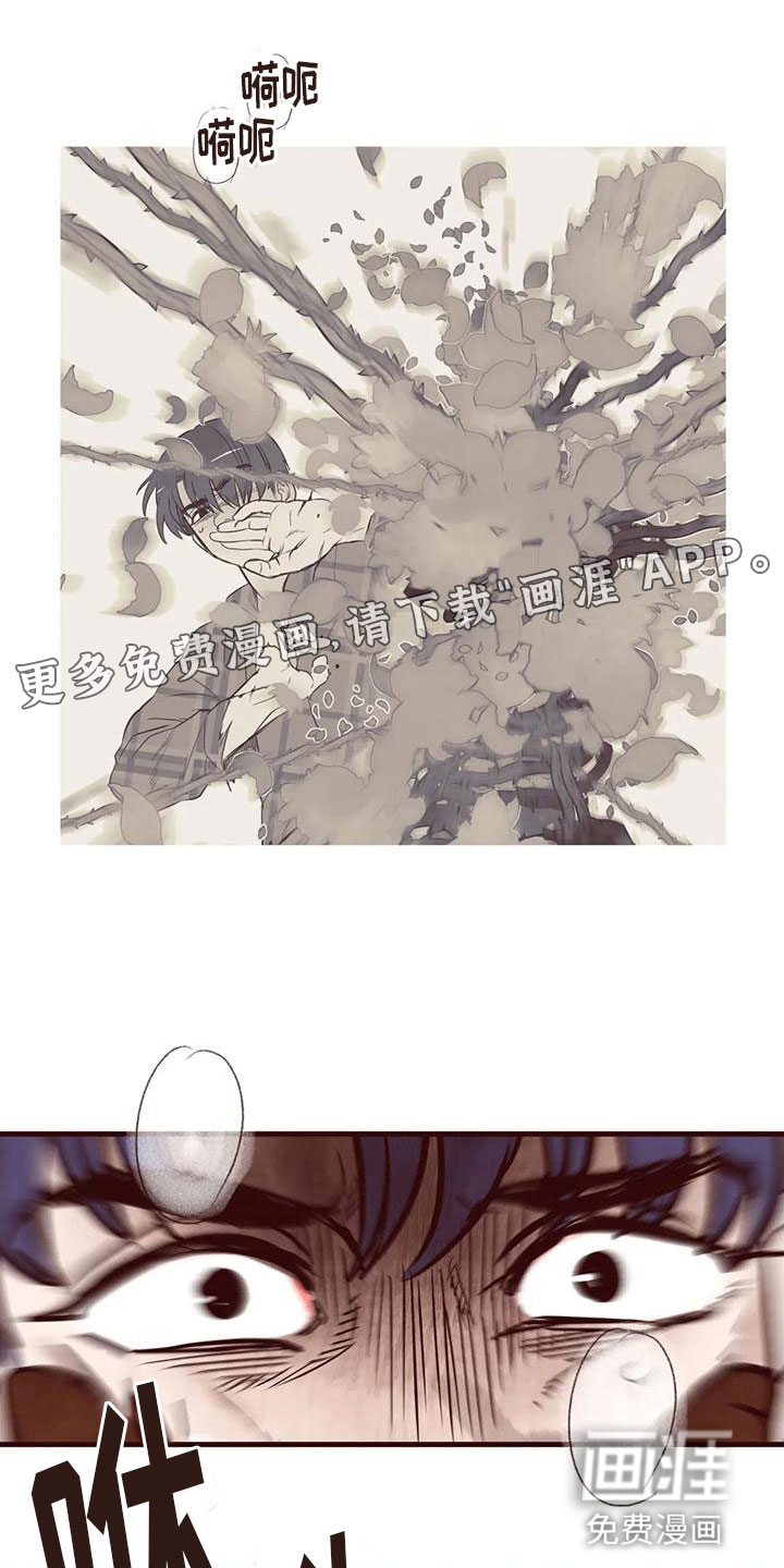 我的十二位哥哥第18话图