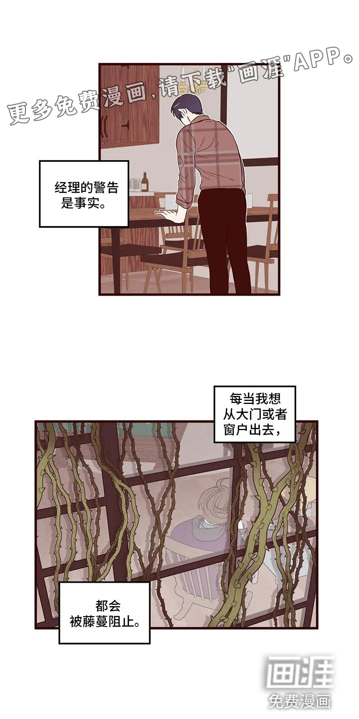 我的十二位哥哥第19话图