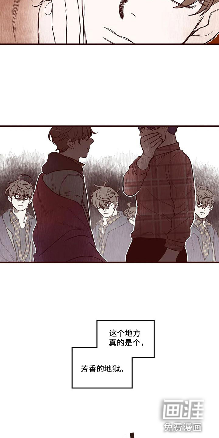 我的十二位哥哥第20话图