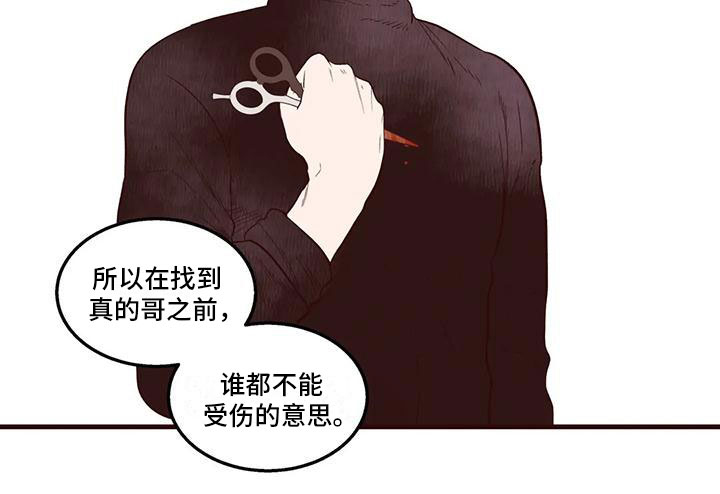 我的十二位哥哥第31话图