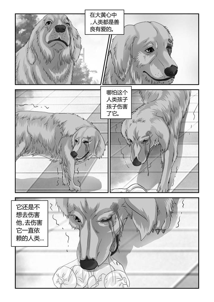 吾家猫猫大人第26话图