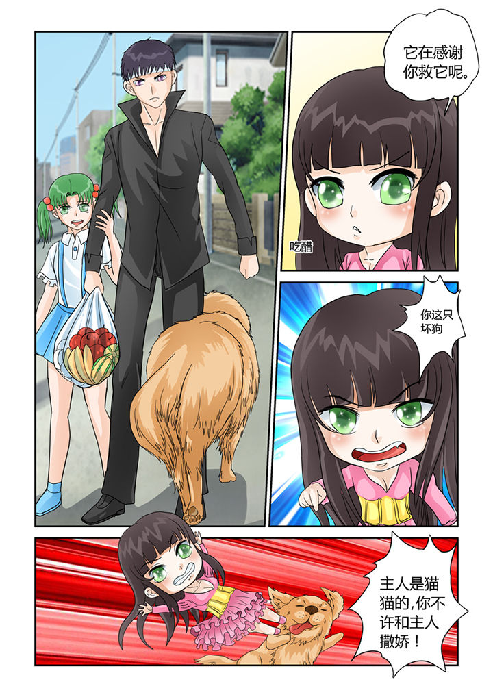 吾家猫猫大人第30话图