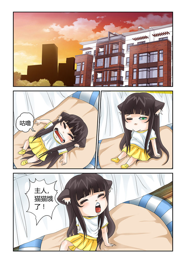吾家猫猫大人第41话图