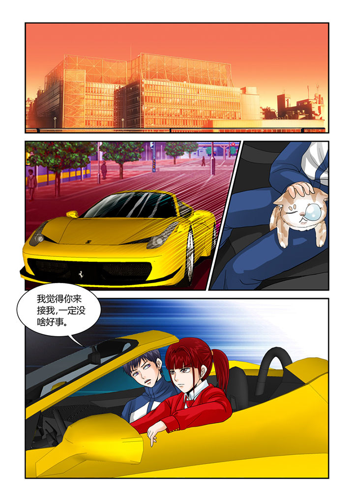 吾家猫猫大人漫画-图7