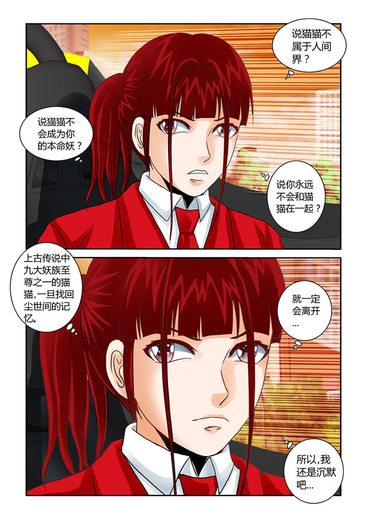 吾家猫猫大人漫画-图13
