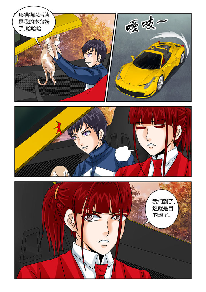 吾家猫猫大人漫画-图14