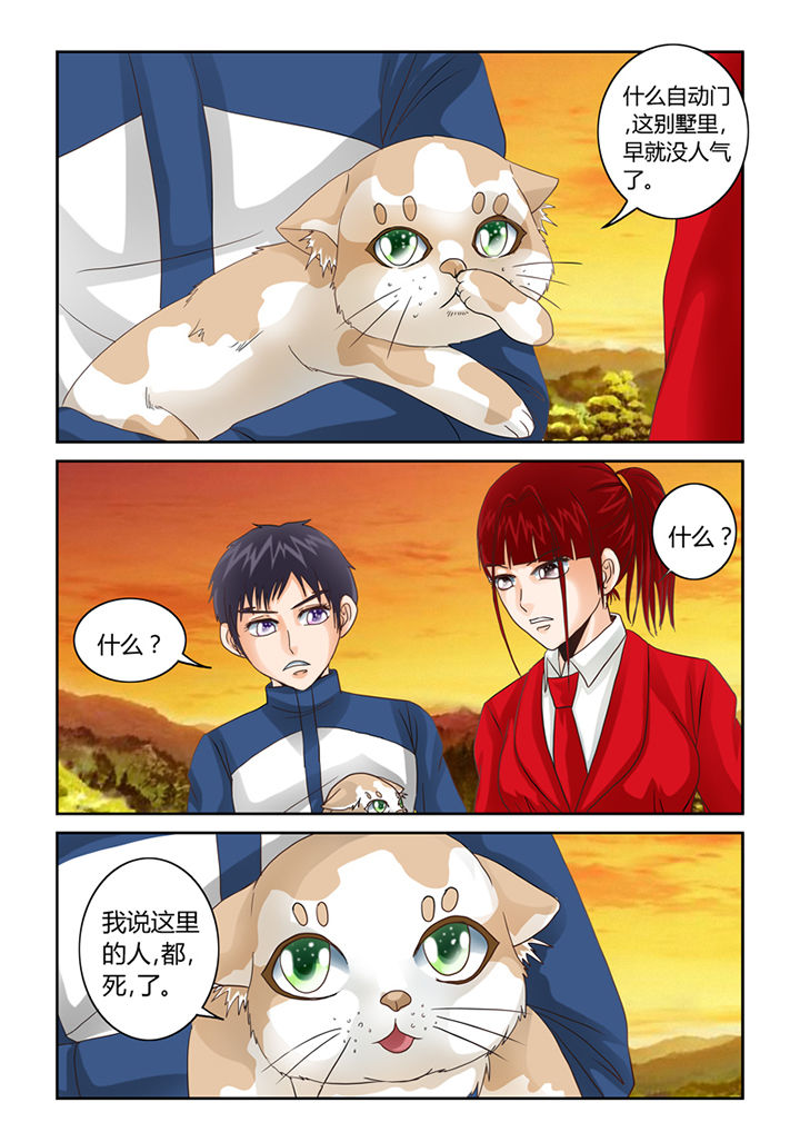 吾家猫猫大人漫画-图4