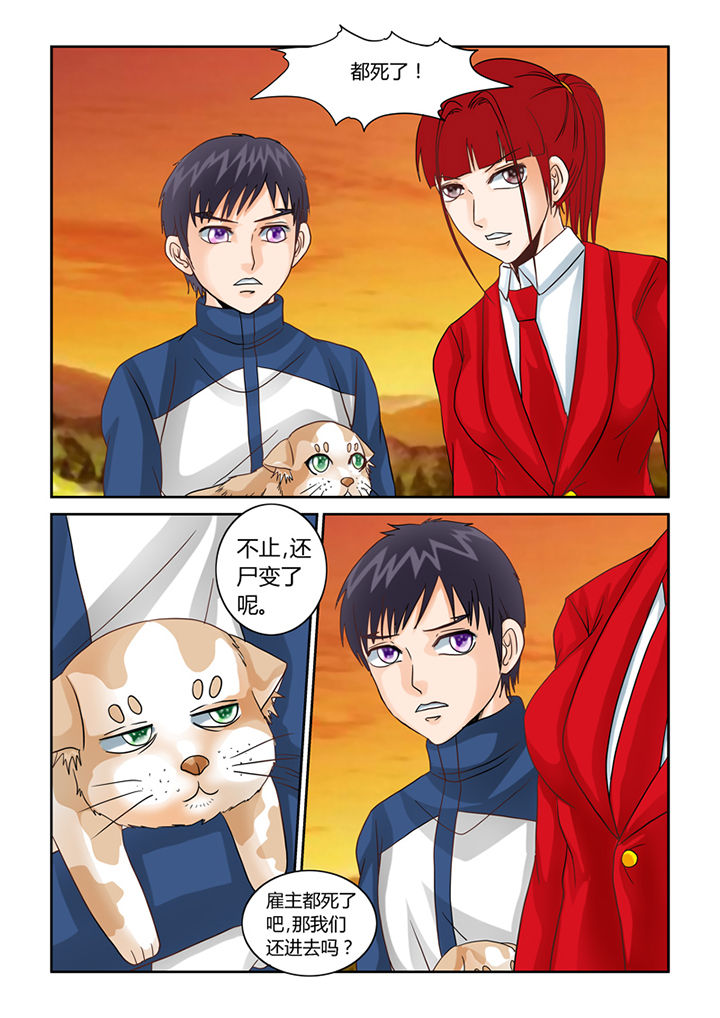 吾家猫猫大人漫画-图5