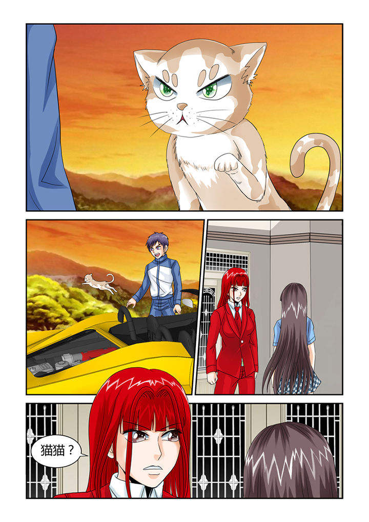 吾家猫猫大人漫画-图9