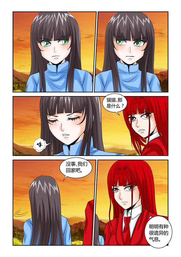 吾家猫猫大人漫画-图10