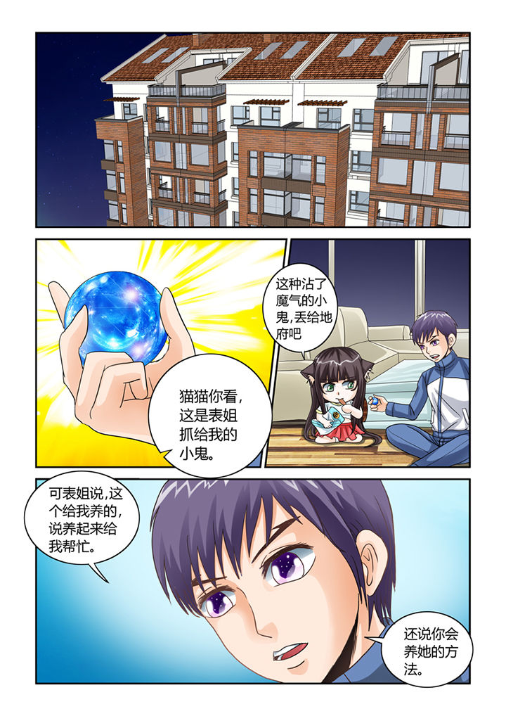 吾家猫猫大人漫画-图12