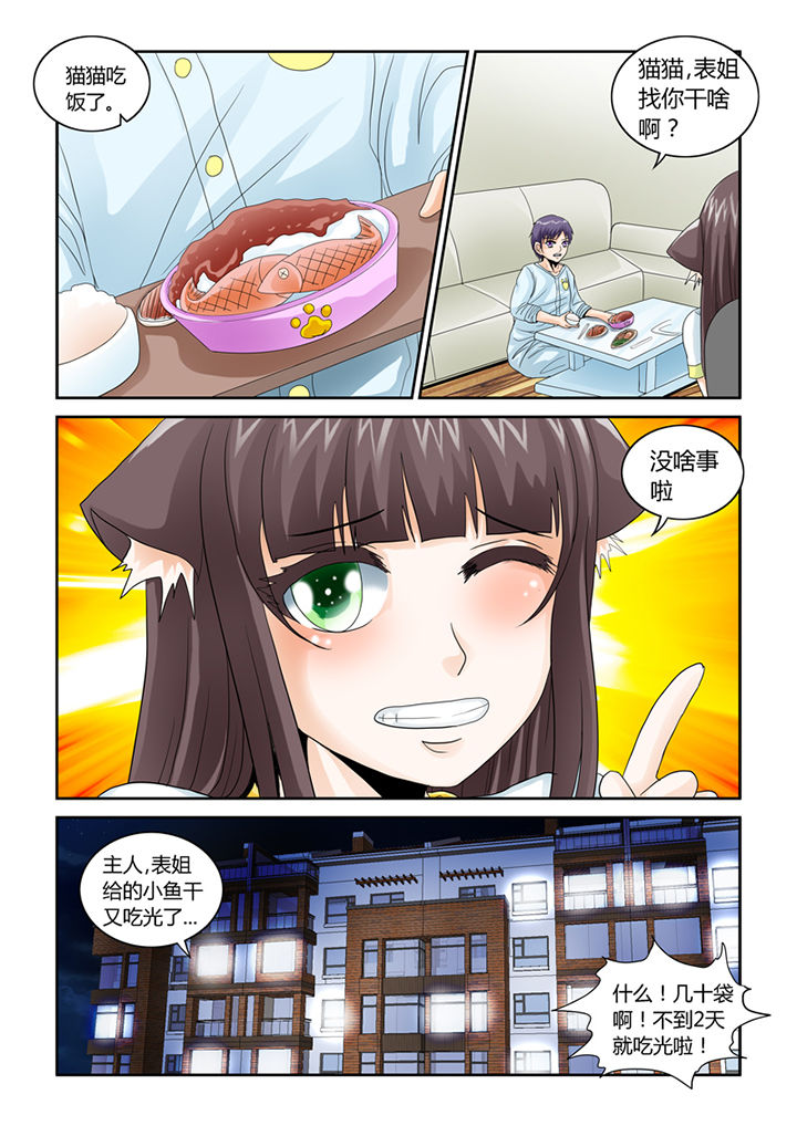 吾家猫猫大人漫画-图6
