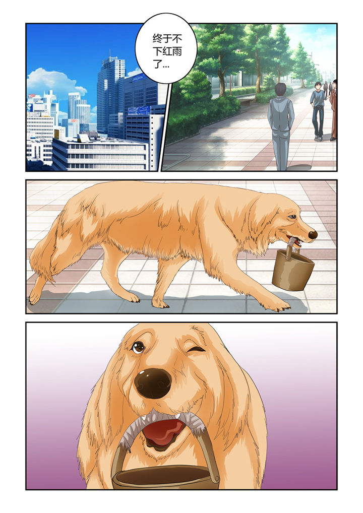 吾家猫猫大人漫画-图7