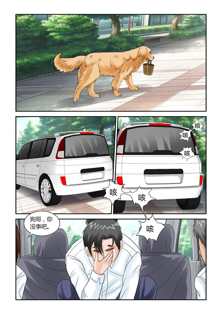 吾家猫猫大人漫画-图8