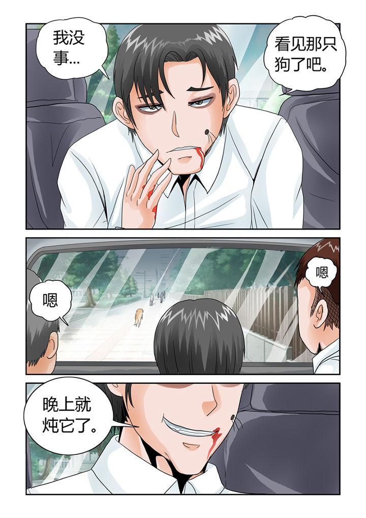 吾家猫猫大人漫画-图9