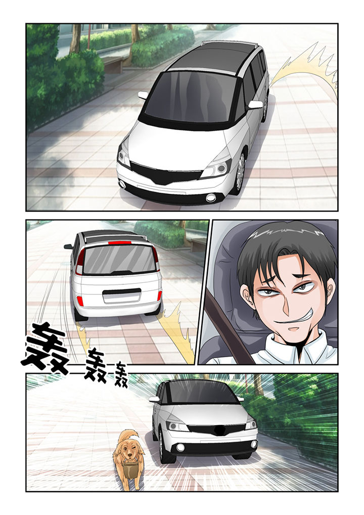 吾家猫猫大人漫画-图11
