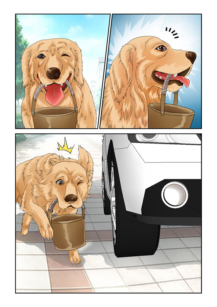 吾家猫猫大人漫画-图12