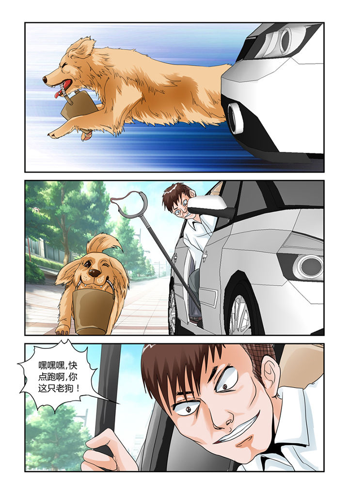 吾家猫猫大人漫画-图13
