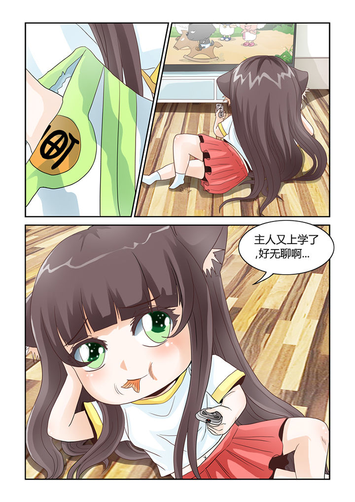 吾家猫猫大人漫画-图3