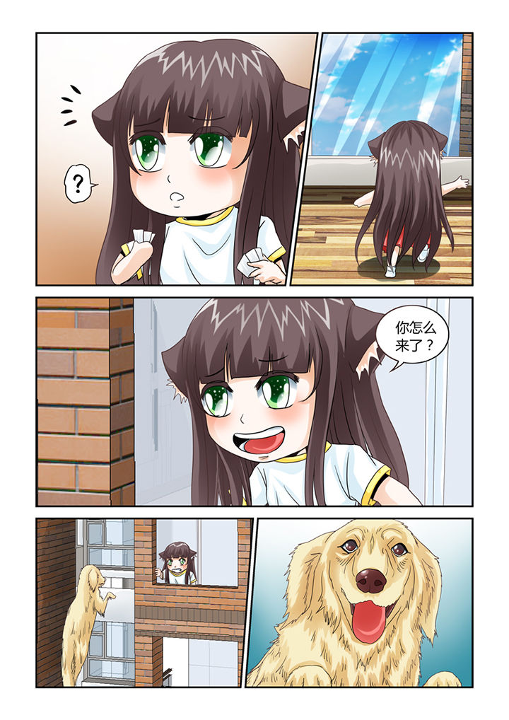 吾家猫猫大人漫画-图12