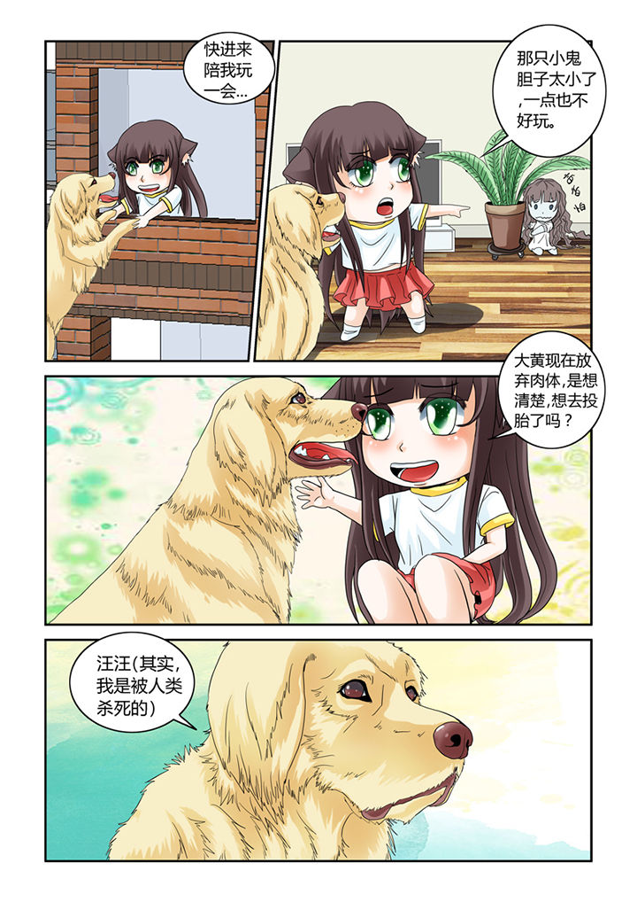 吾家猫猫大人漫画-图13