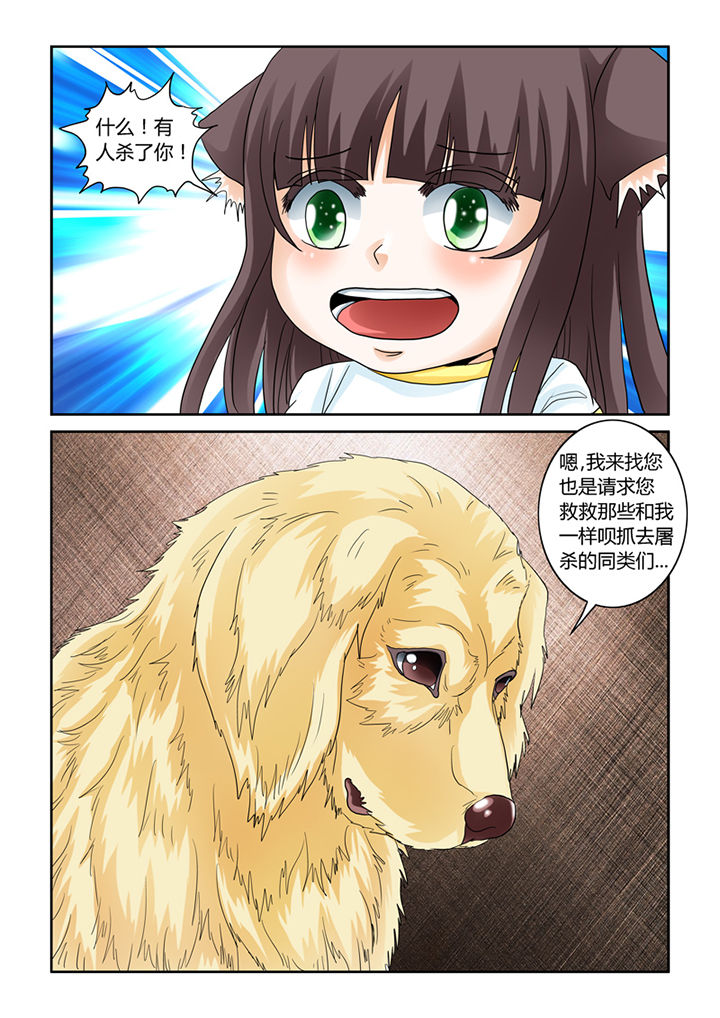 吾家猫猫大人漫画-图14