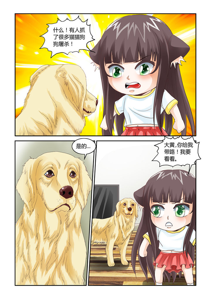 吾家猫猫大人第48话第1页