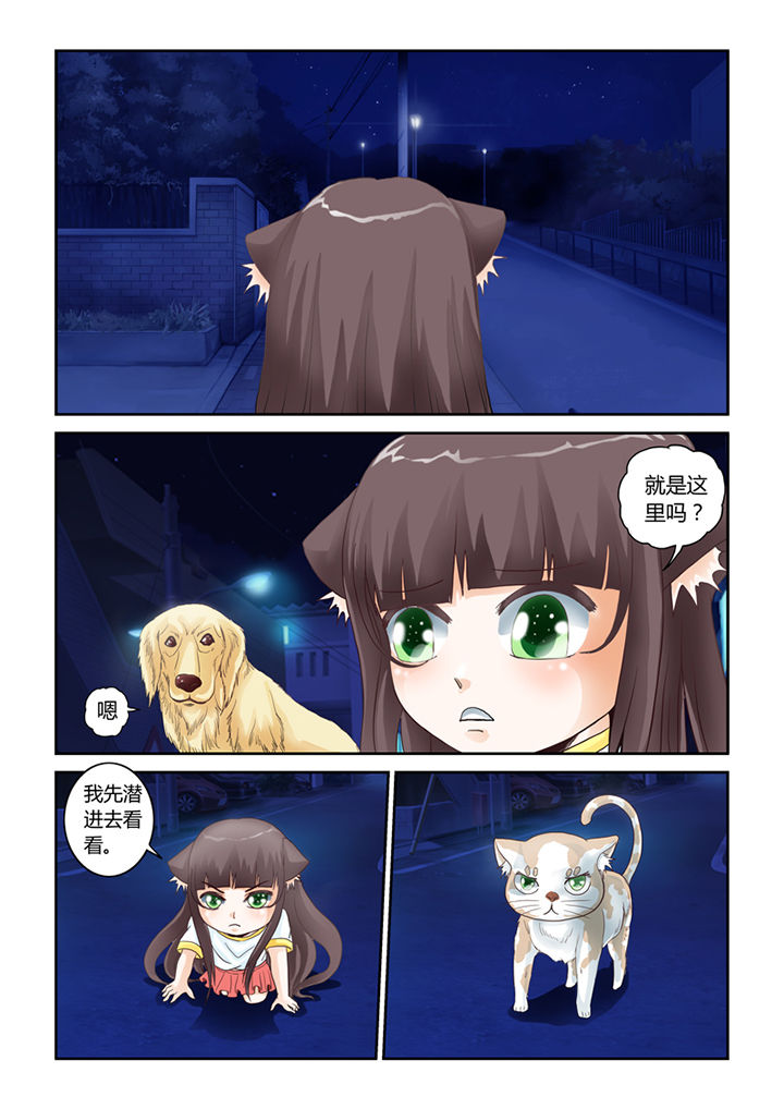 吾家猫猫大人漫画-图3