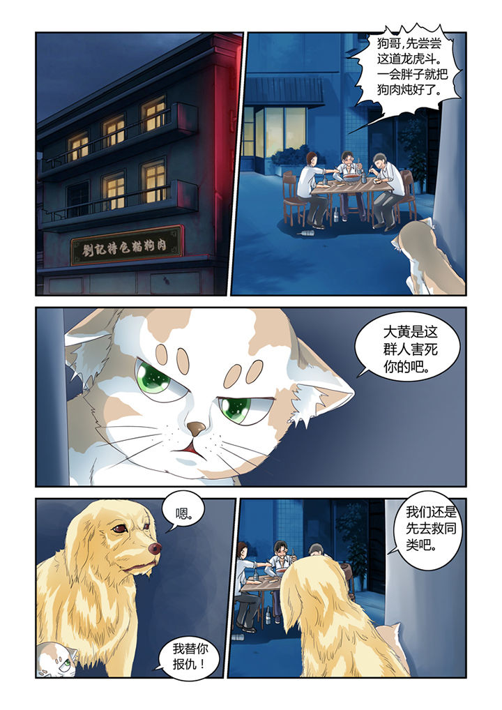 吾家猫猫大人漫画-图7