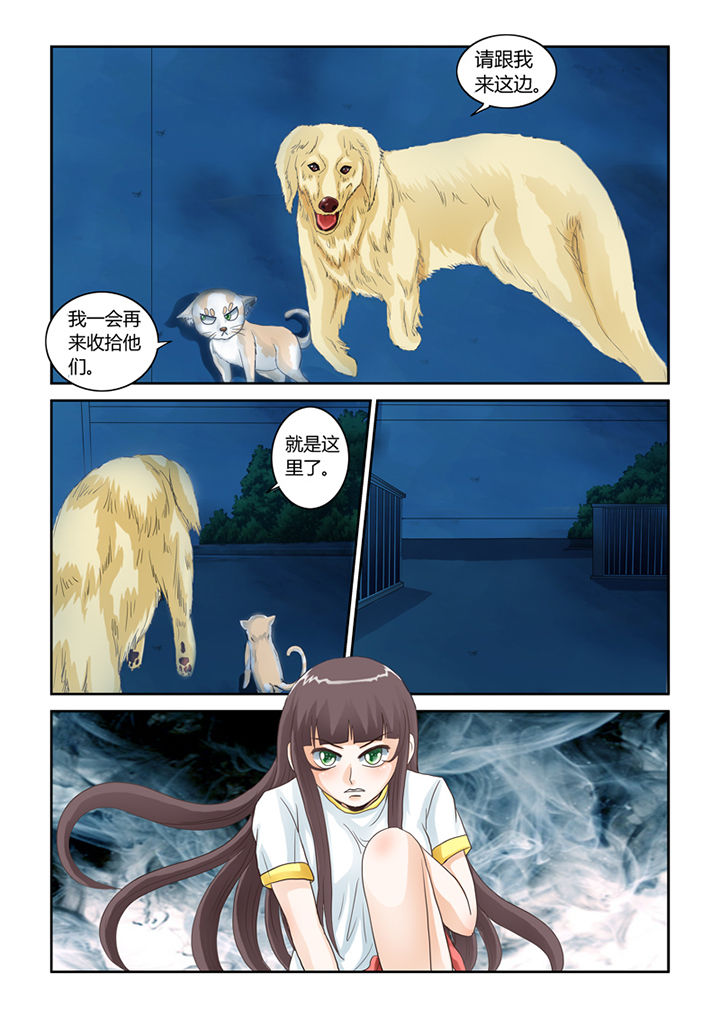 吾家猫猫大人漫画-图8