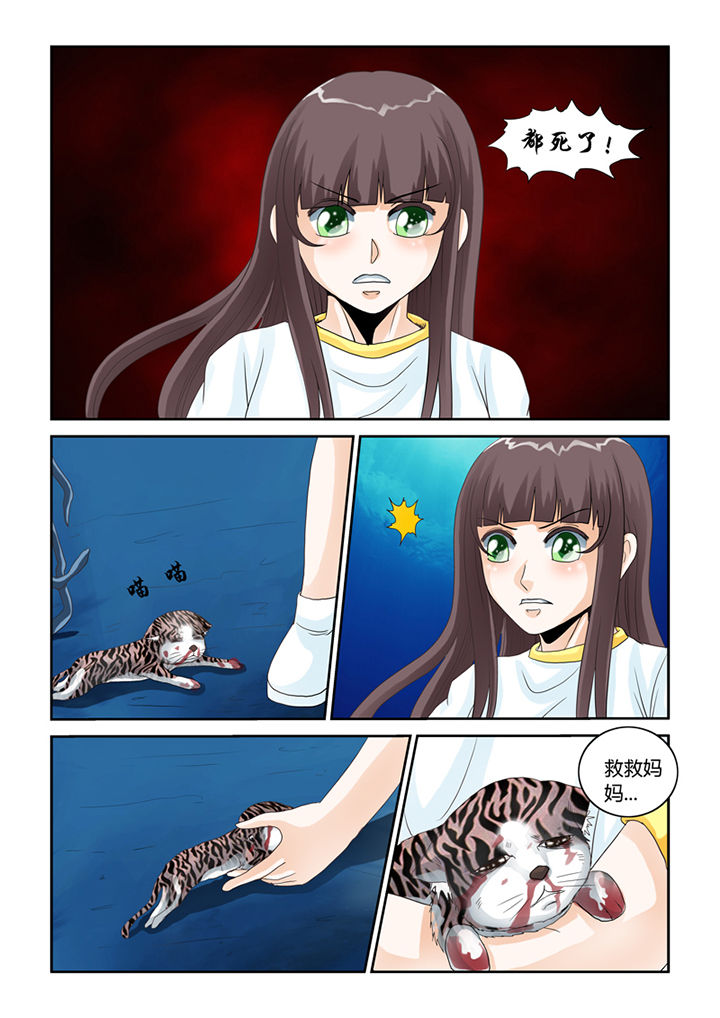 吾家猫猫大人漫画-图10