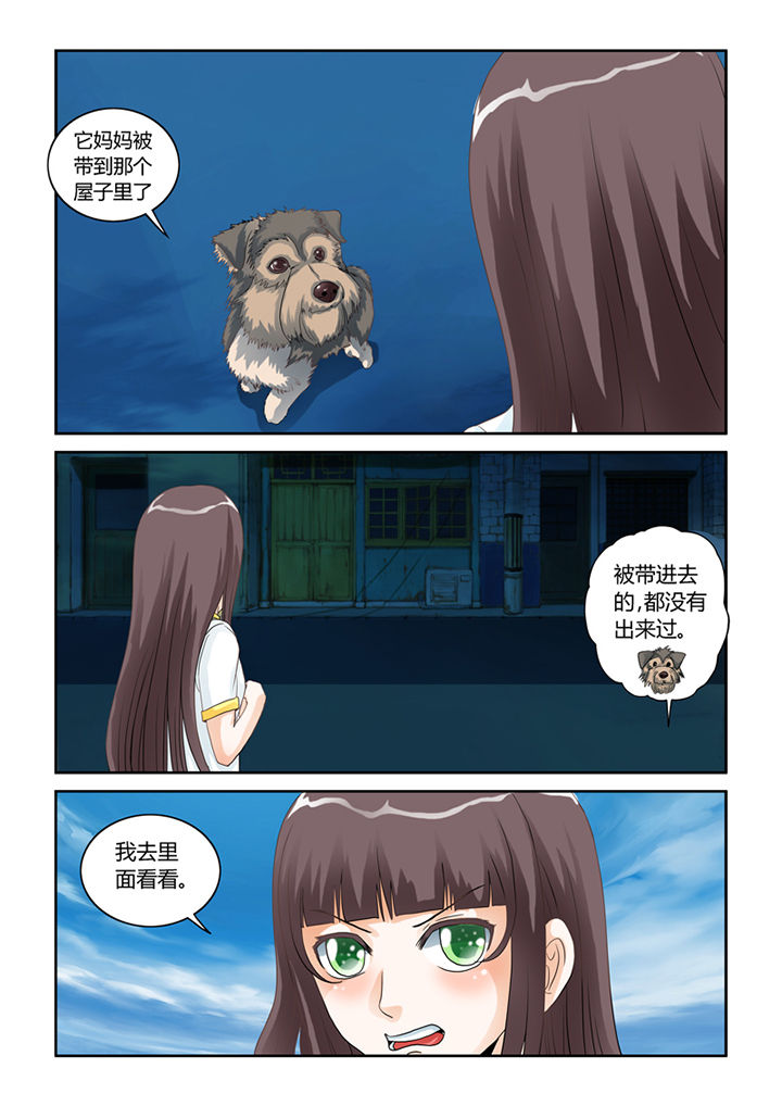 吾家猫猫大人漫画-图11