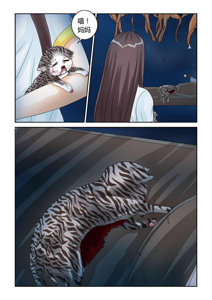 吾家猫猫大人漫画-图14