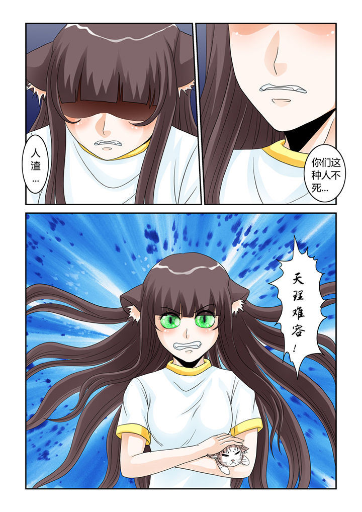 吾家猫猫大人漫画-图6