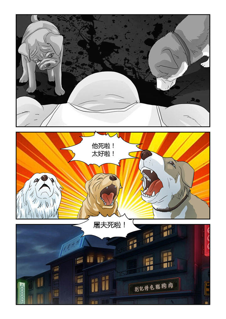吾家猫猫大人漫画-图12