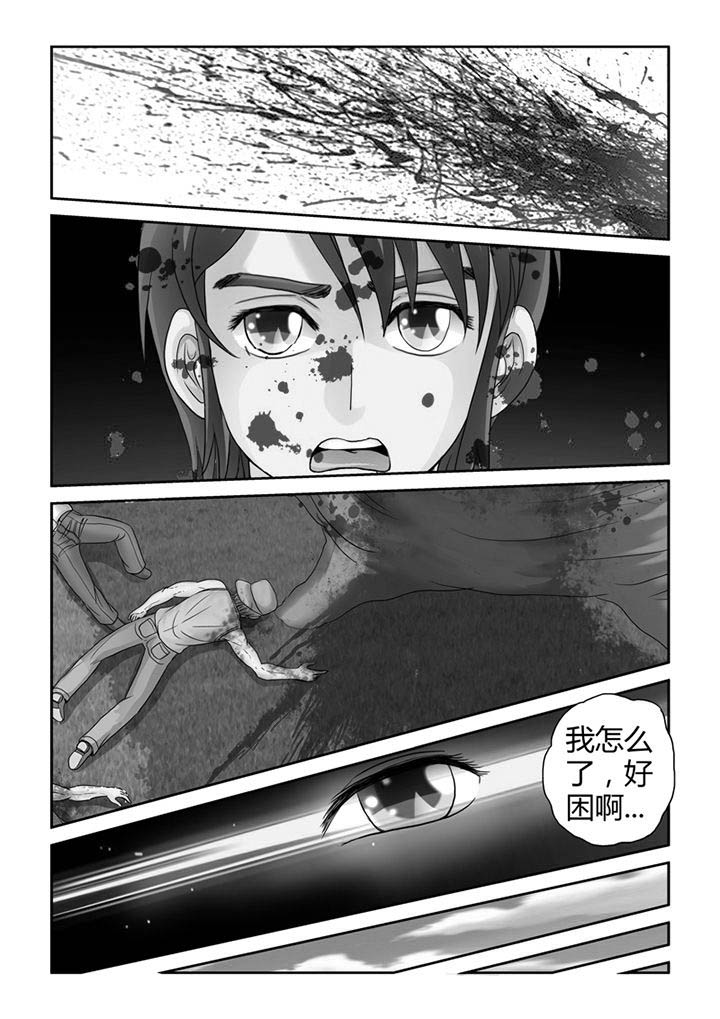 吾家猫猫大人第8话图