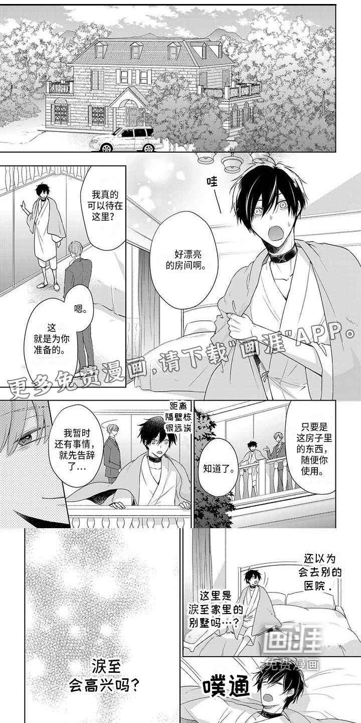 稳定的关系第14话图