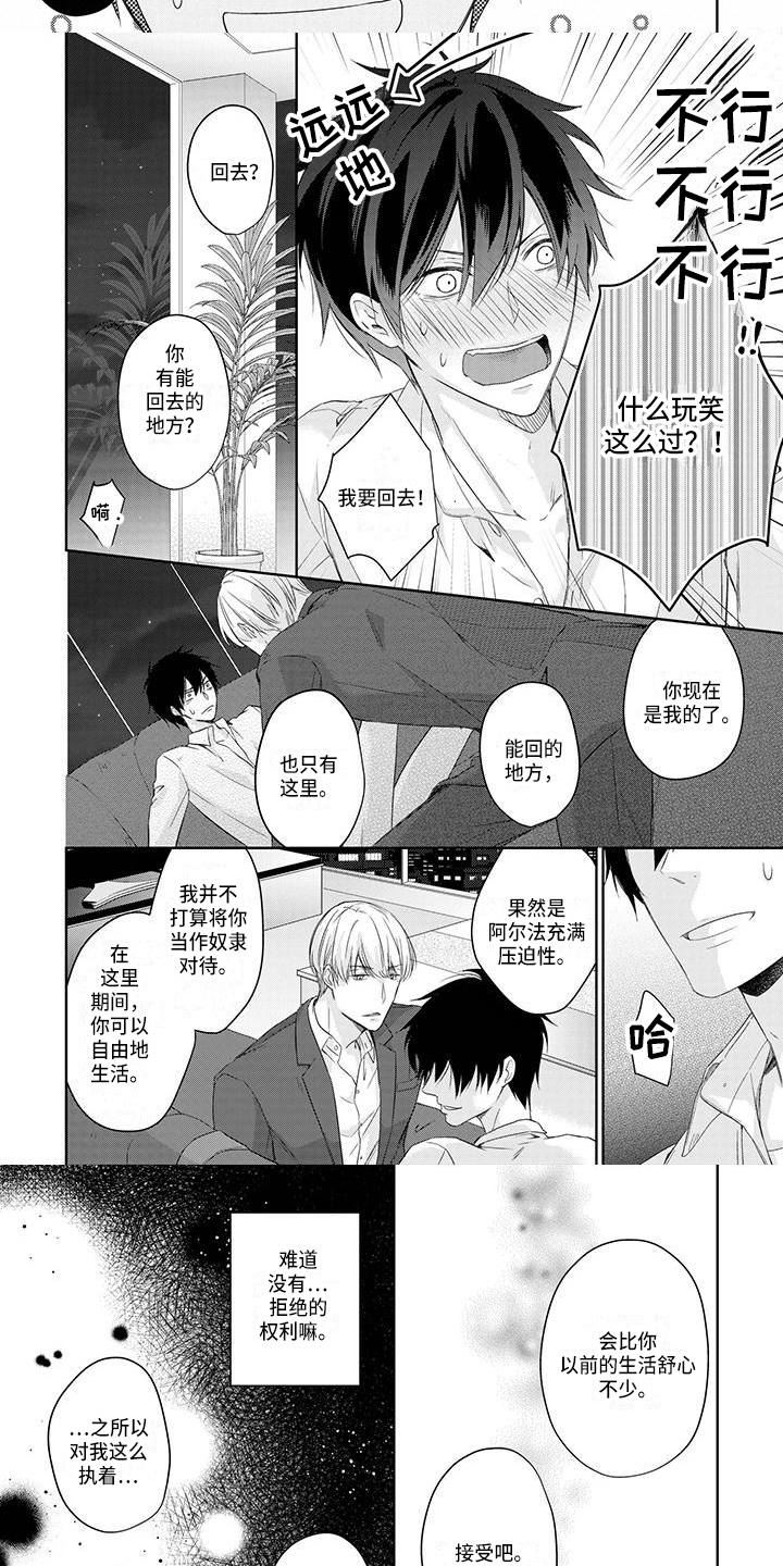 稳定的关系第3话图