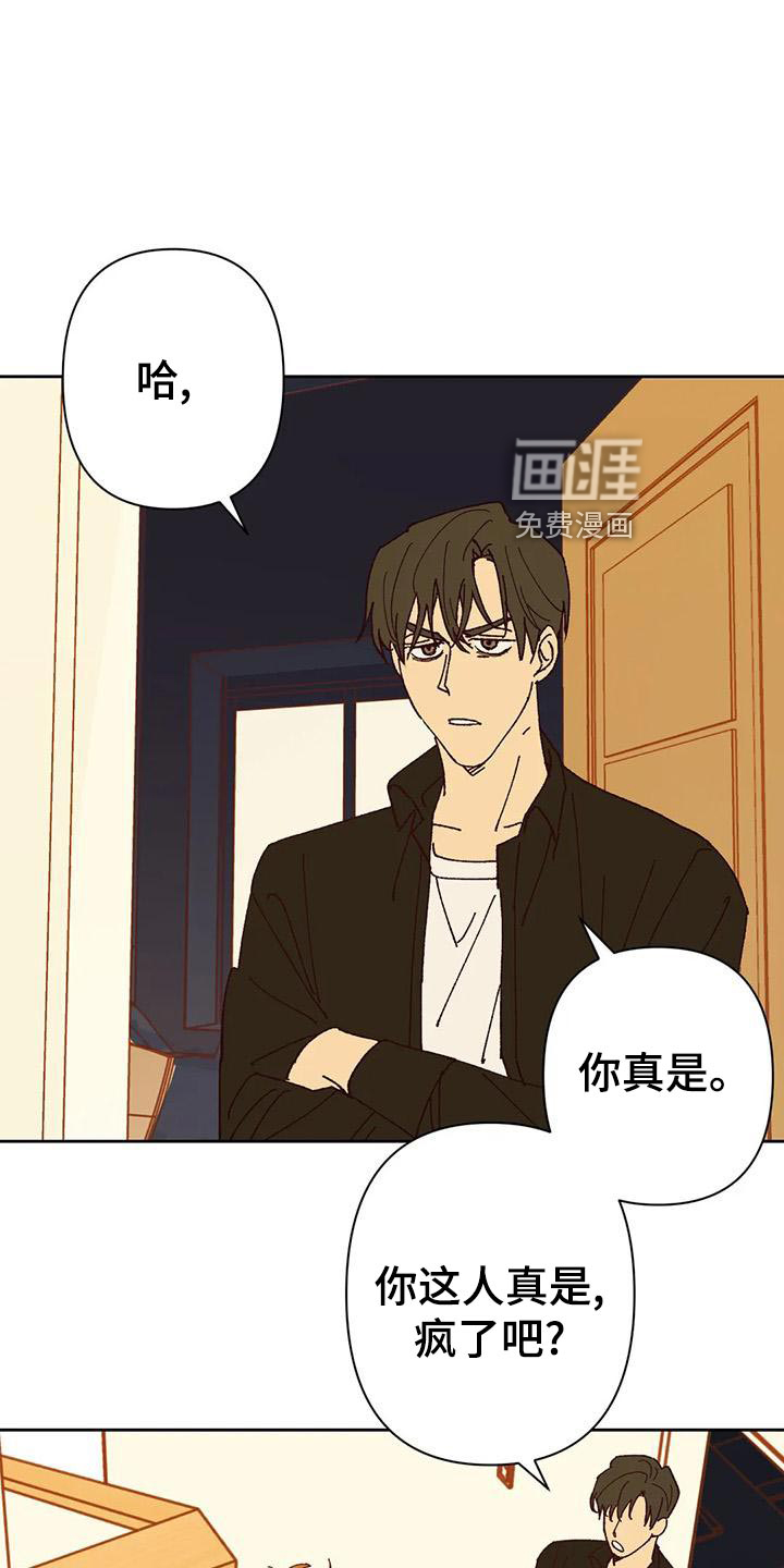 未来的生活第44话图