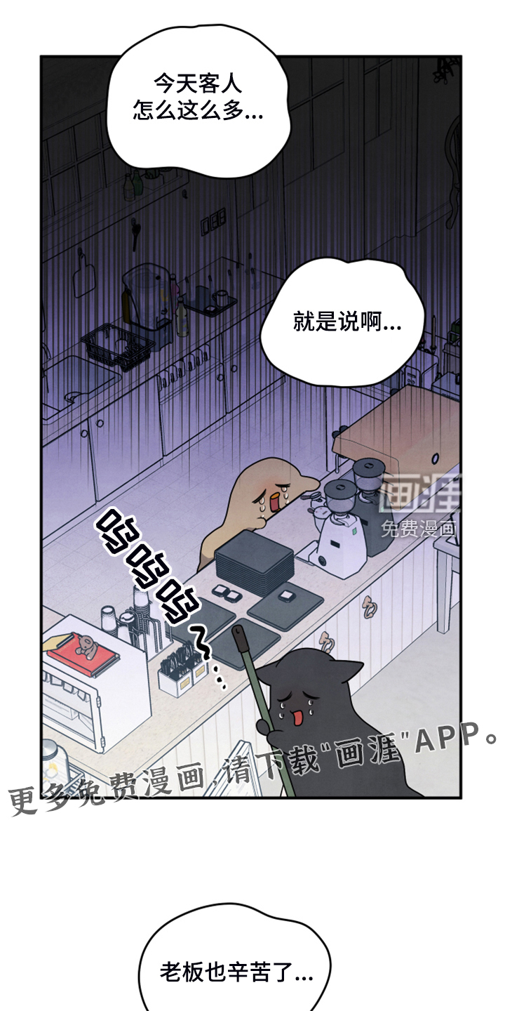 危险接近第18话图