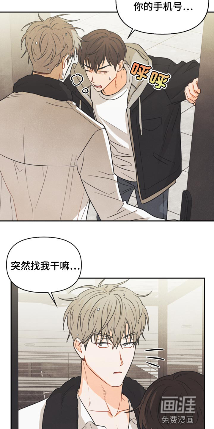 玩偶攻略第50话图