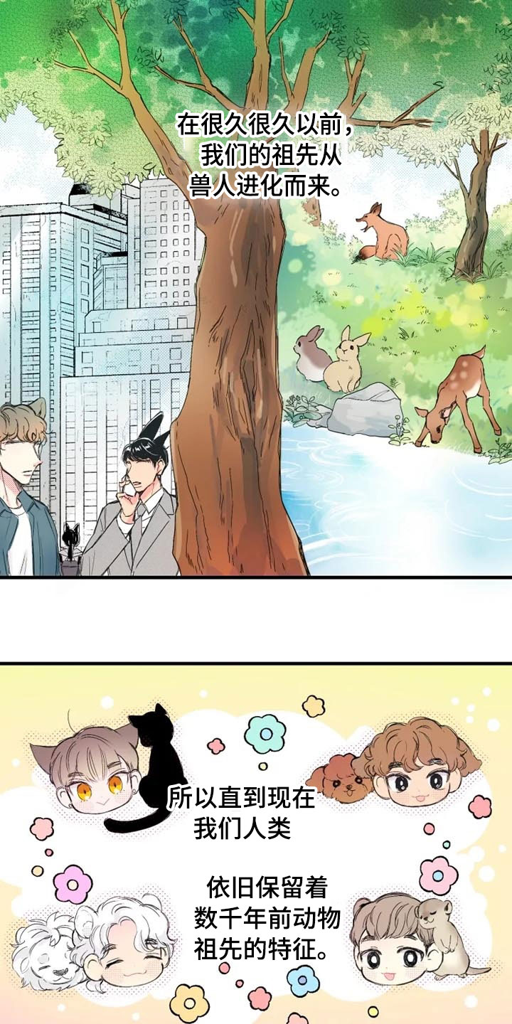 我怀孕了怎么办第1话图