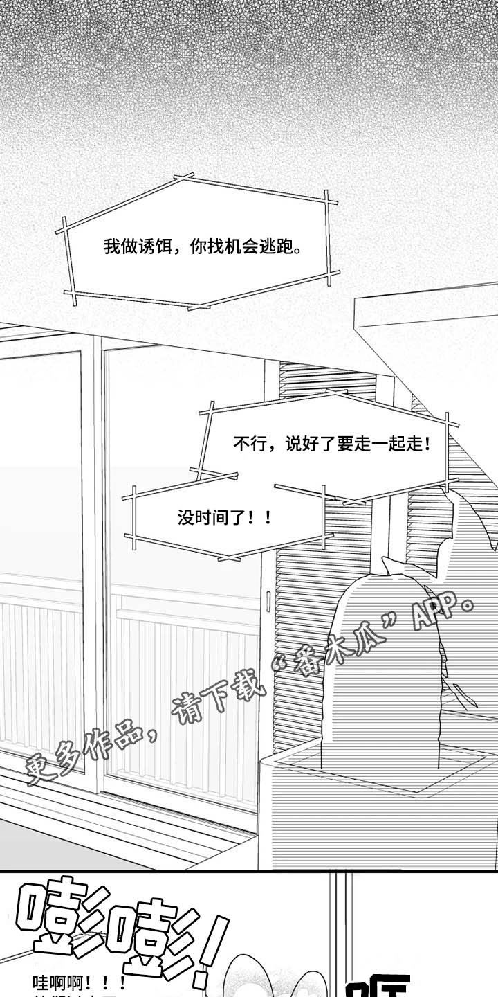 我怀孕了怎么办第38话图