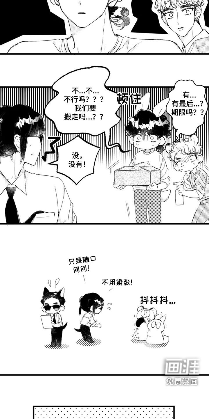 我怀孕了怎么办第44话图