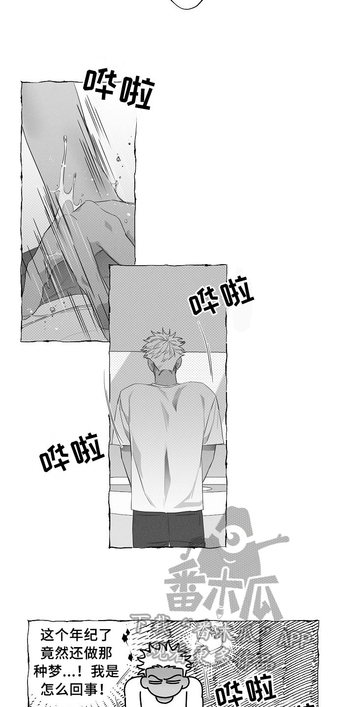 我的真心实意第11话图