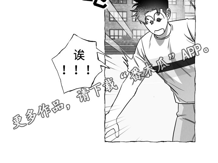 我的真心实意第23话图
